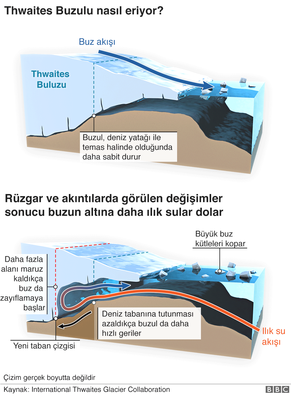 Yılda Üç Kilometre Buz Kopuyor