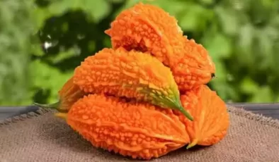 Kudret Narı Faydaları! Hangi hastalığa iyi gelir?