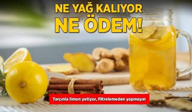 Limon-Tarçın Suyunun Faydaları ve Tarifi