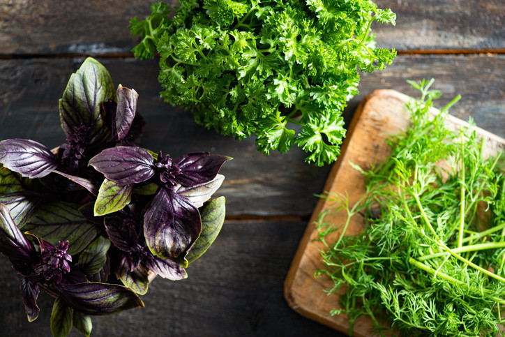 Fesleğenin Gizli Güçleri: Kanıtlarla Dolu Sağlık Dostu Bir Bitki