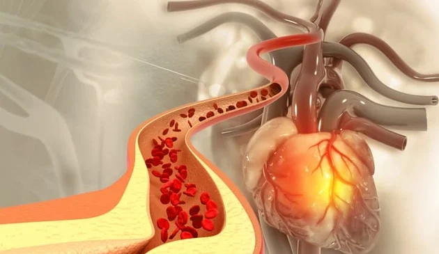 Kolesterol Nedir ve Kalp Sağlığını Etkileyen Faktörler